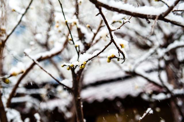 市场 市场
